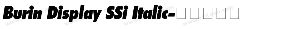 Burin Display SSi Italic字体转换